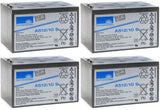 Kontron Autocart Wave Battery (Sonnenschein) (4 Battery Set)